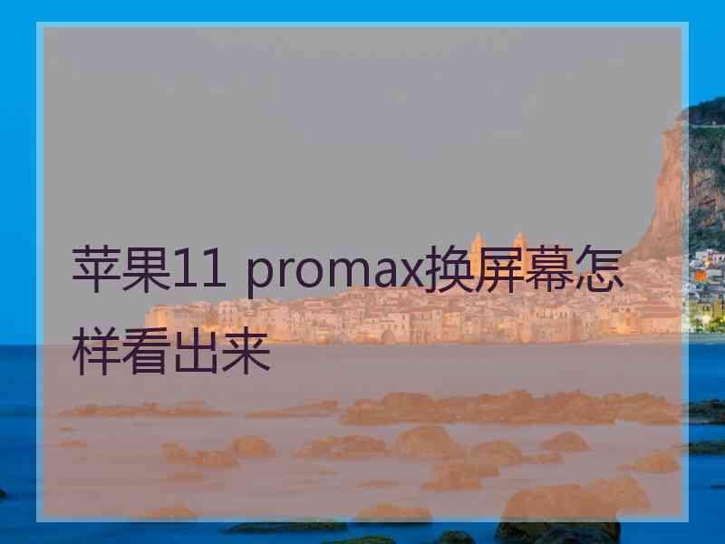 苹果11 promax换屏幕怎样看出来