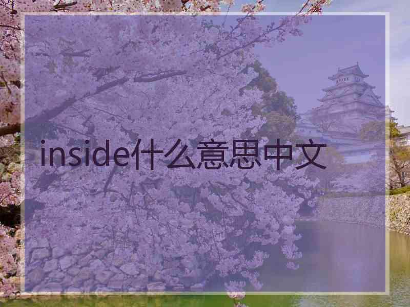 inside什么意思中文