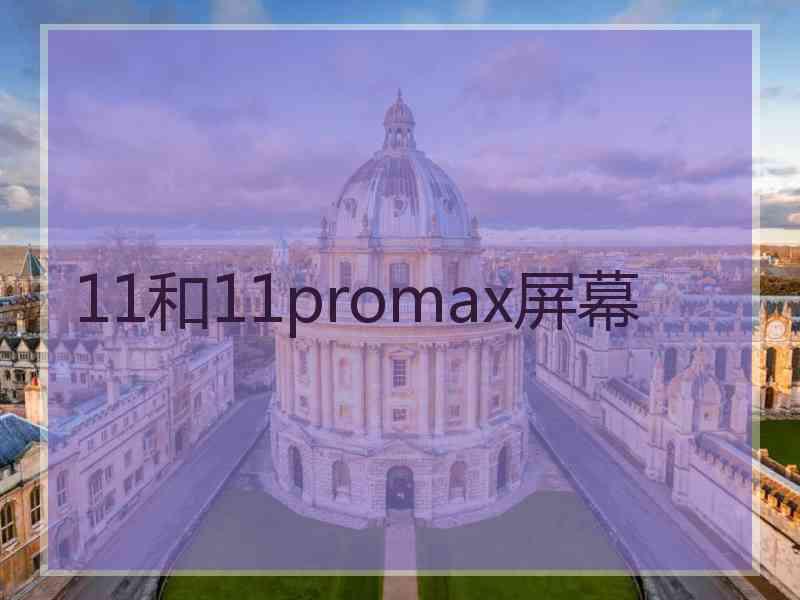 11和11promax屏幕