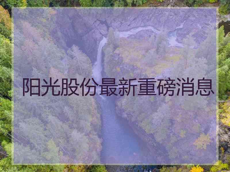 阳光股份最新重磅消息