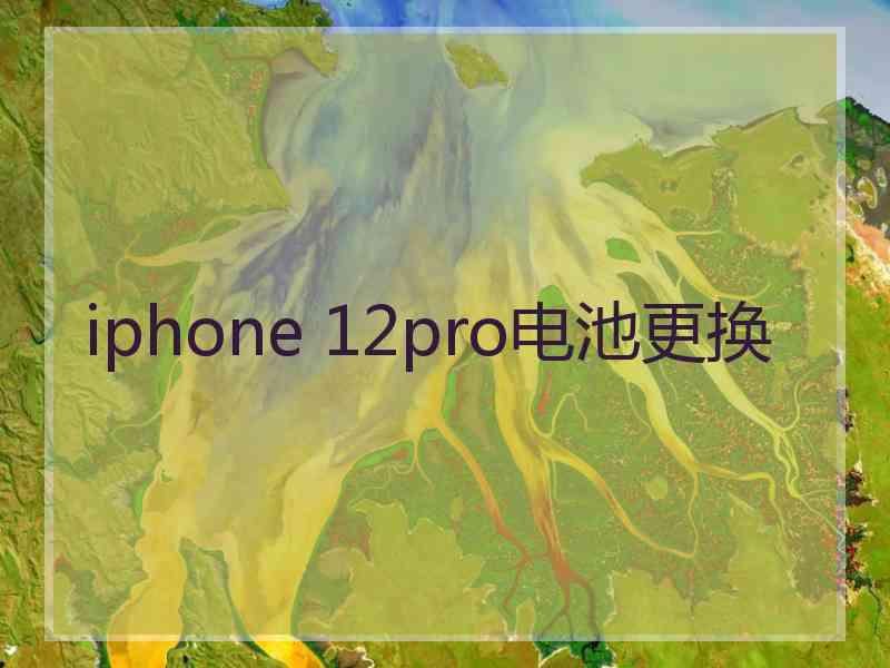 iphone 12pro电池更换