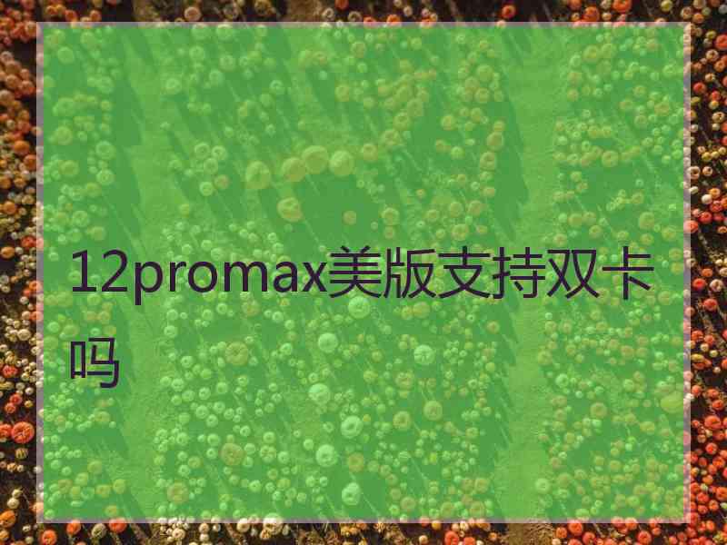 12promax美版支持双卡吗