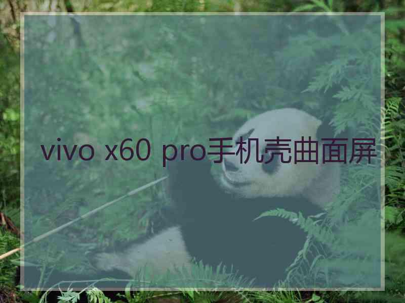 vivo x60 pro手机壳曲面屏