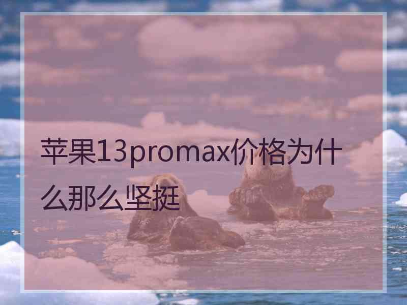 苹果13promax价格为什么那么坚挺