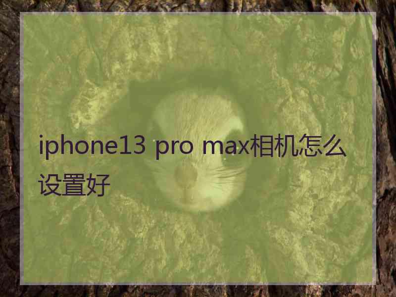 iphone13 pro max相机怎么设置好