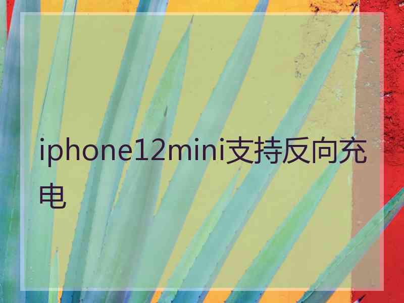 iphone12mini支持反向充电