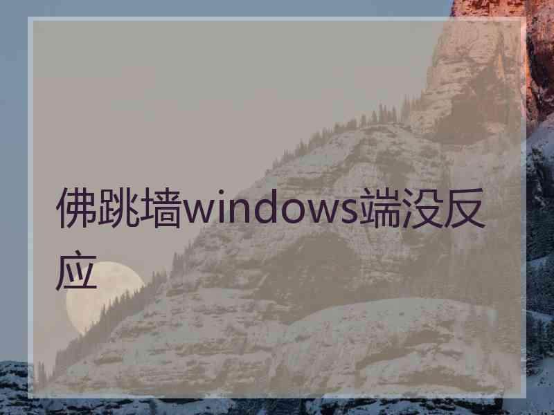 佛跳墙windows端没反应