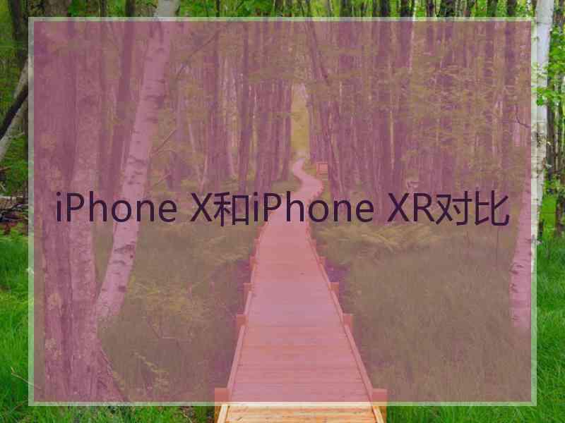 iPhone X和iPhone XR对比