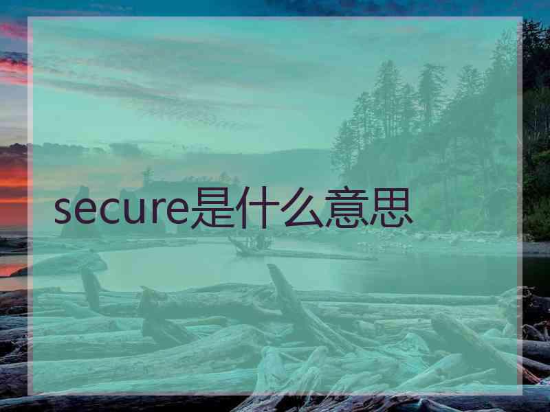 secure是什么意思