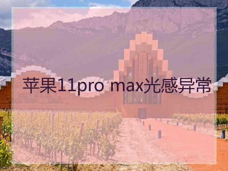 苹果11pro max光感异常