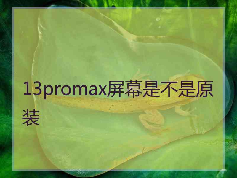 13promax屏幕是不是原装