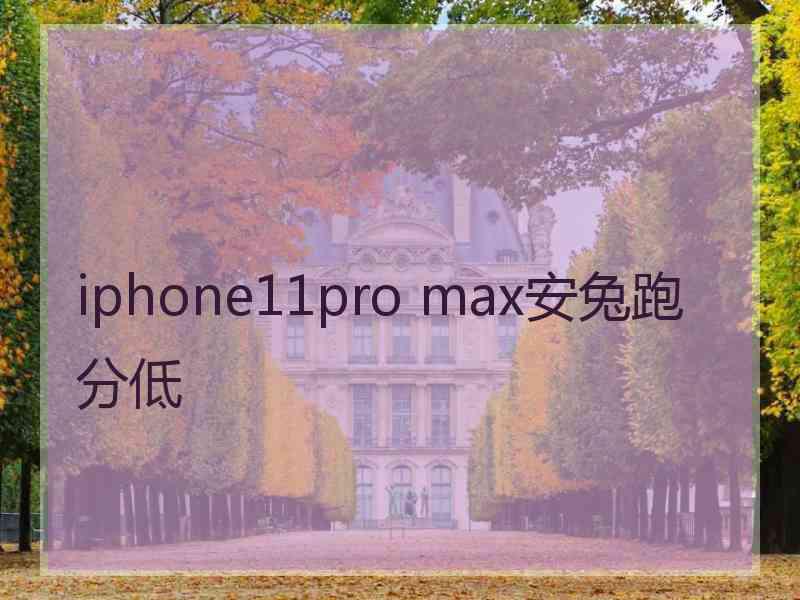 iphone11pro max安兔跑分低