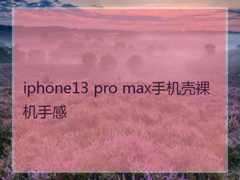 iphone13 pro max手机壳裸机手感