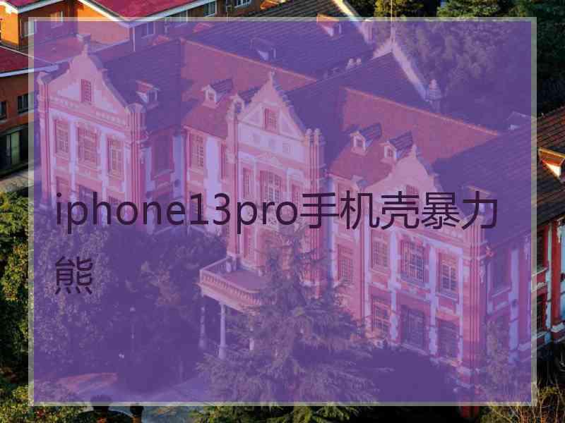 iphone13pro手机壳暴力熊