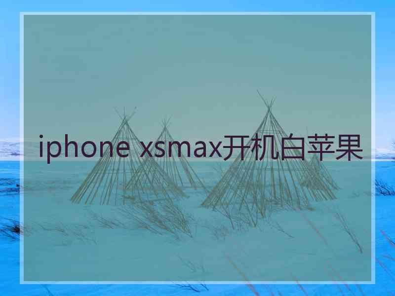 iphone xsmax开机白苹果