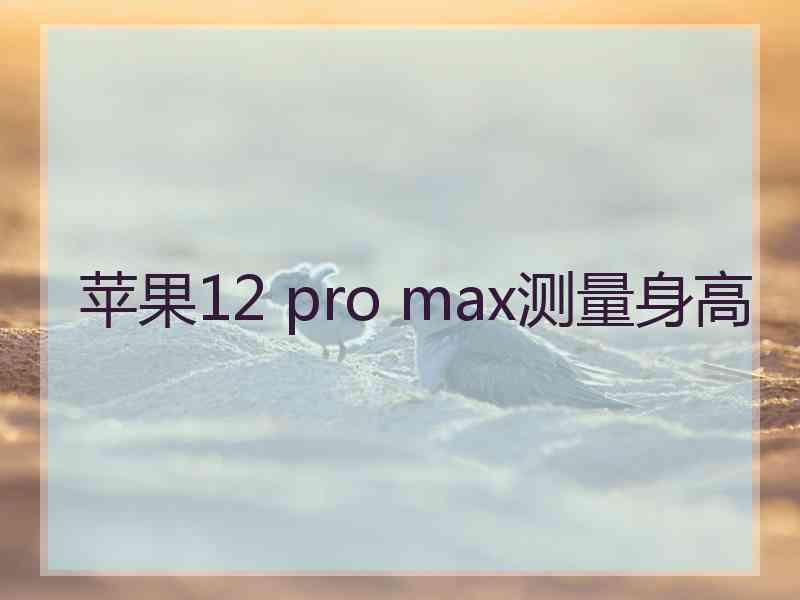 苹果12 pro max测量身高