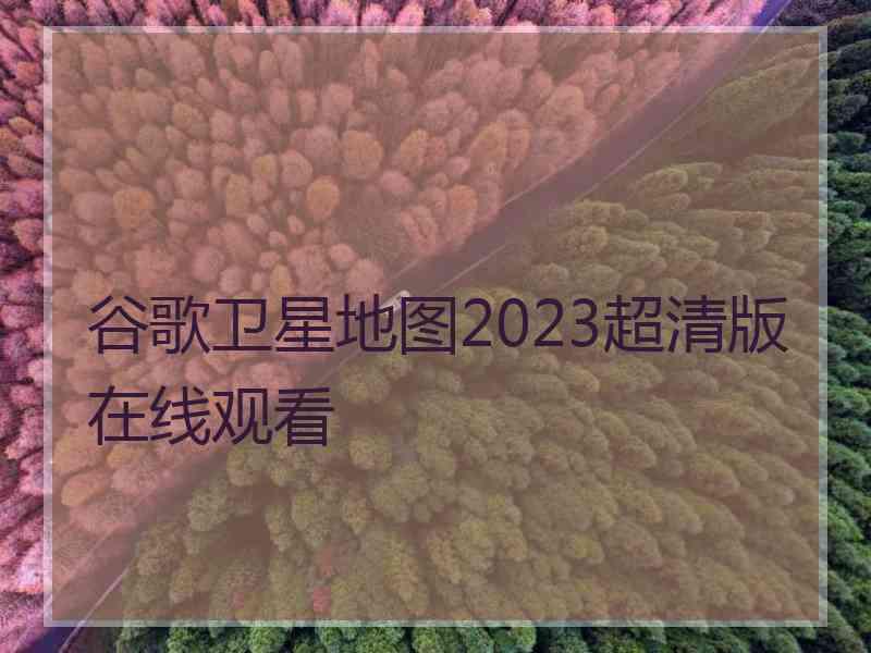 谷歌卫星地图2023超清版在线观看