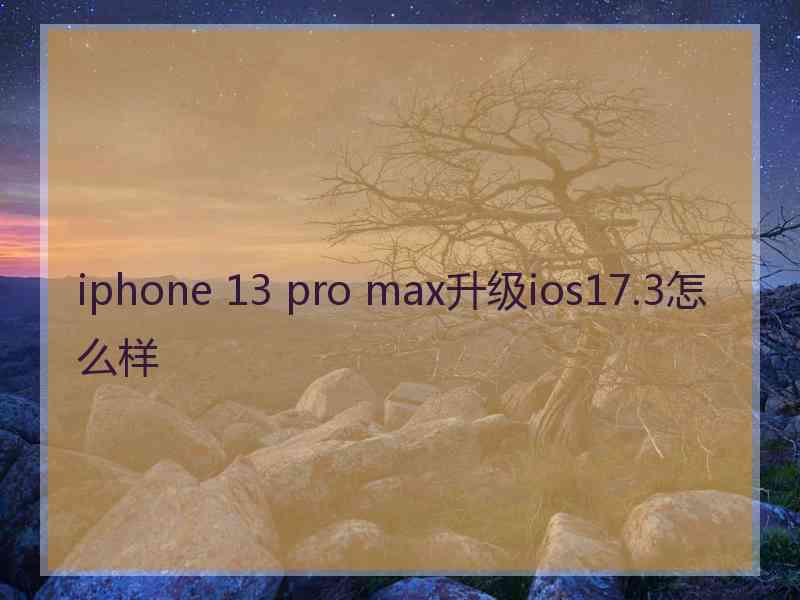 iphone 13 pro max升级ios17.3怎么样