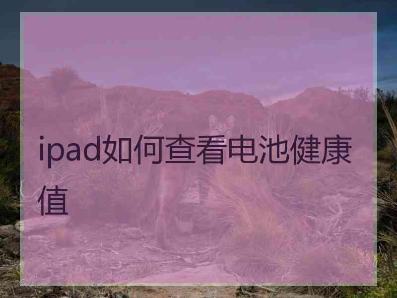 ipad如何查看电池健康值