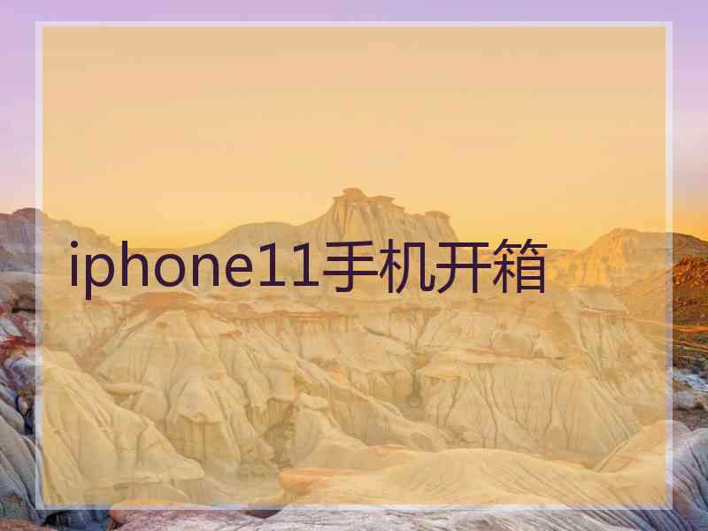 iphone11手机开箱