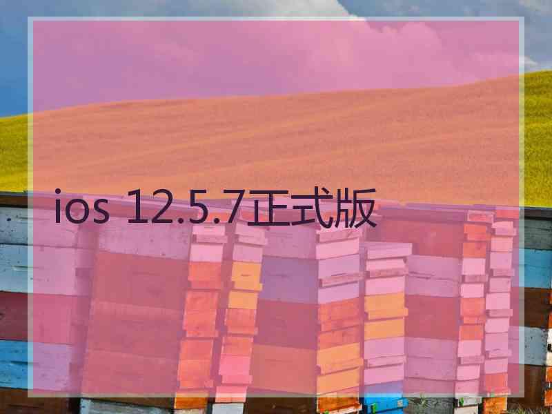 ios 12.5.7正式版