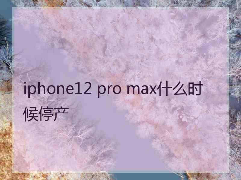 iphone12 pro max什么时候停产