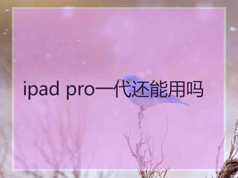 ipad pro一代还能用吗