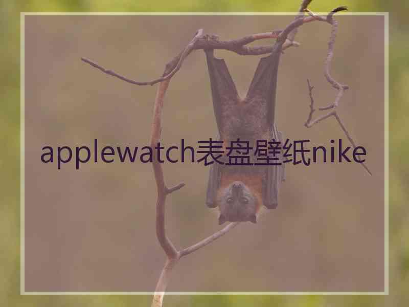 applewatch表盘壁纸nike