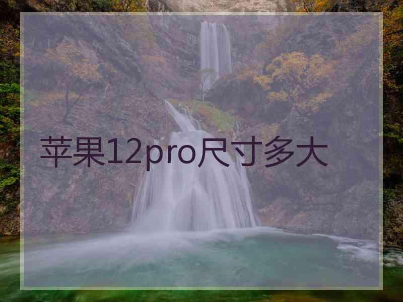 苹果12pro尺寸多大