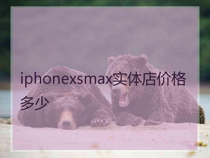 iphonexsmax实体店价格多少