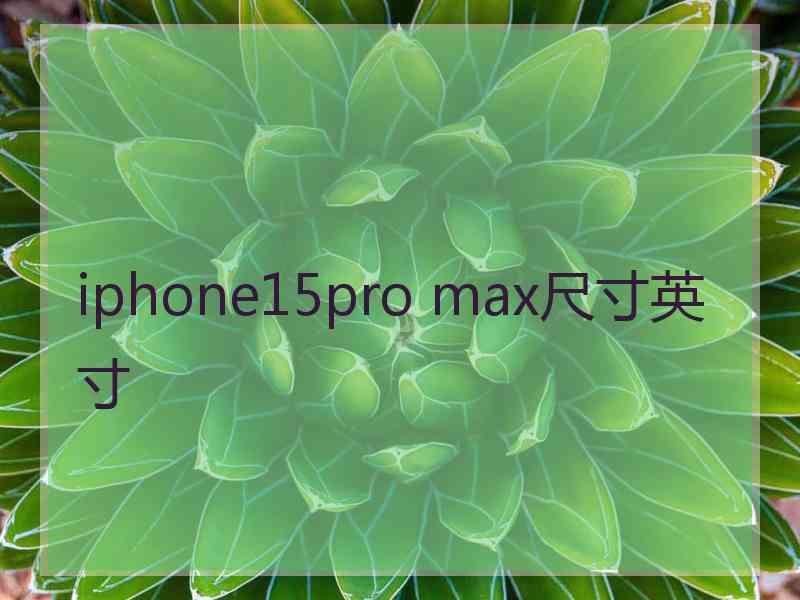 iphone15pro max尺寸英寸