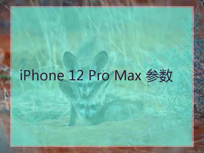 iPhone 12 Pro Max 参数