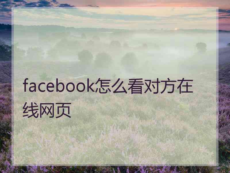 facebook怎么看对方在线网页