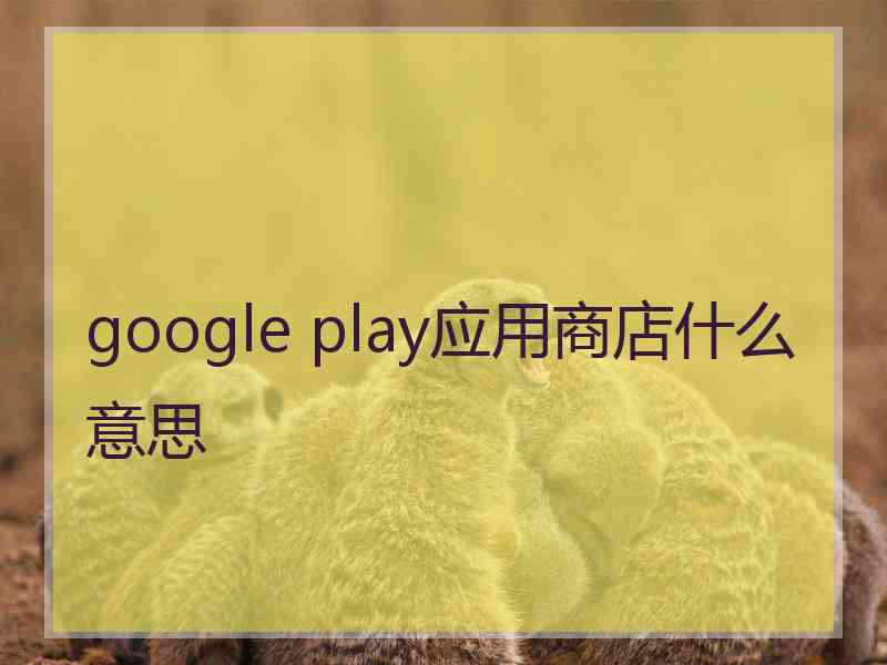 google play应用商店什么意思