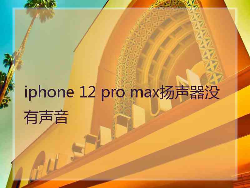 iphone 12 pro max扬声器没有声音