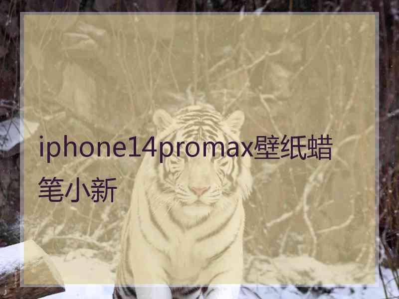 iphone14promax壁纸蜡笔小新