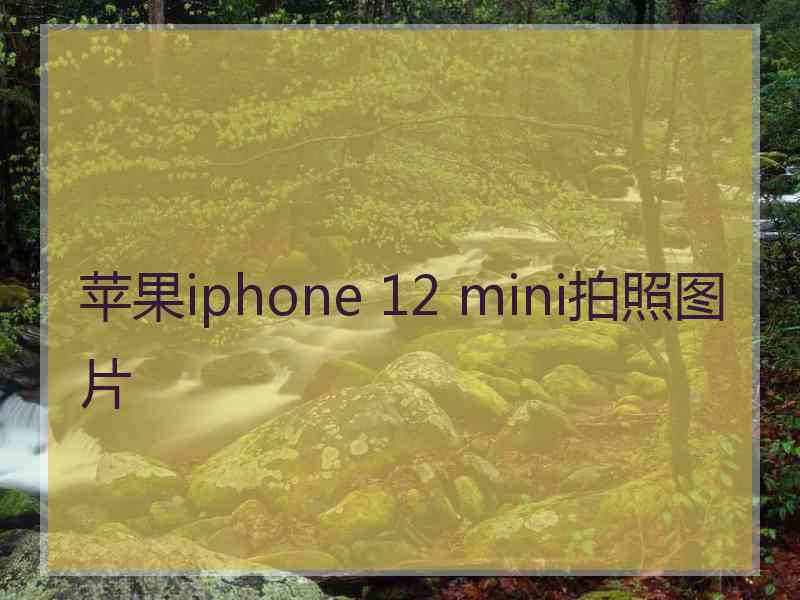 苹果iphone 12 mini拍照图片