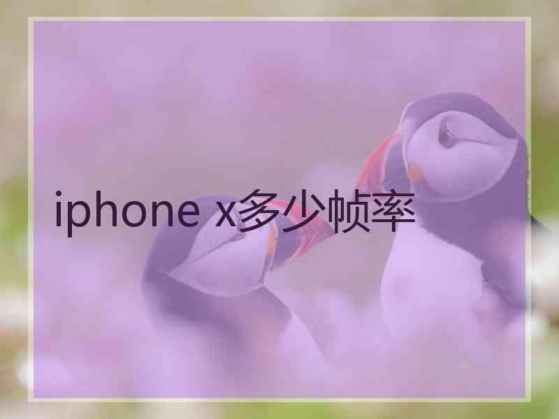 iphone x多少帧率