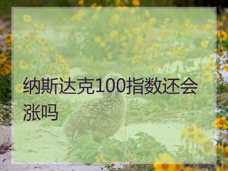 纳斯达克100指数还会涨吗