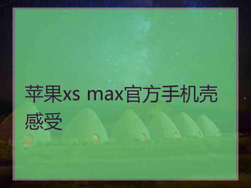 苹果xs max官方手机壳感受