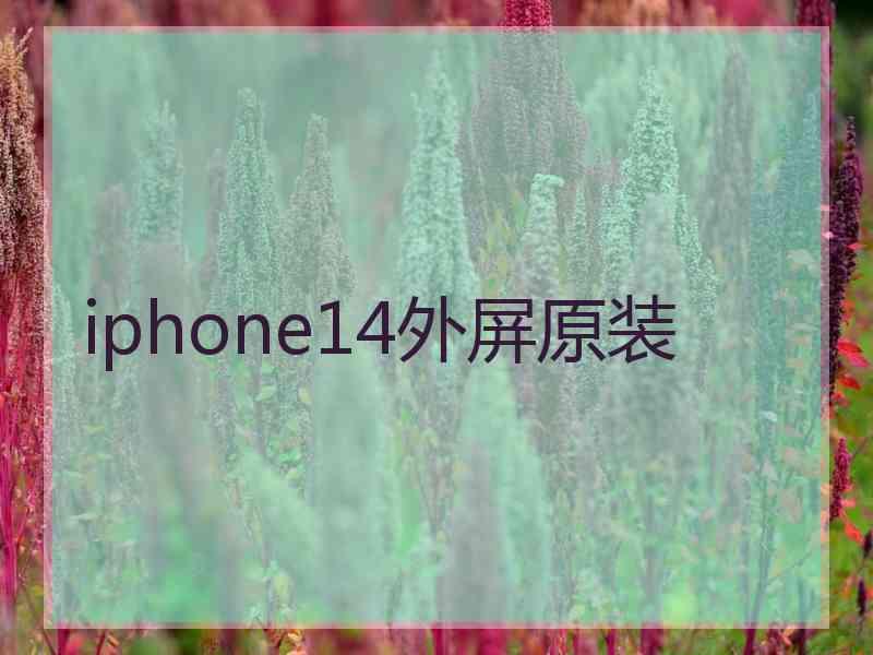 iphone14外屏原装