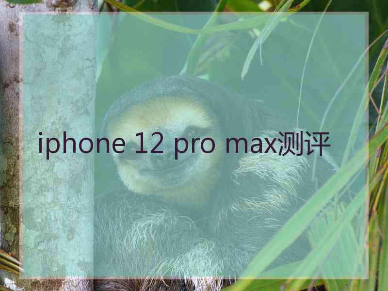 iphone 12 pro max测评