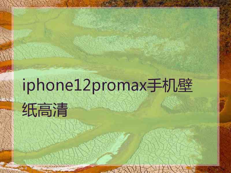 iphone12promax手机壁纸高清