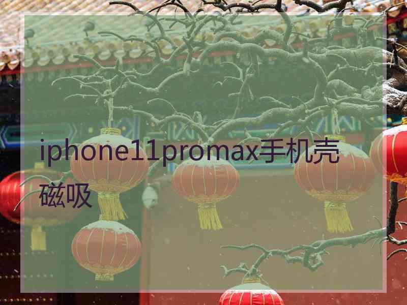 iphone11promax手机壳 磁吸