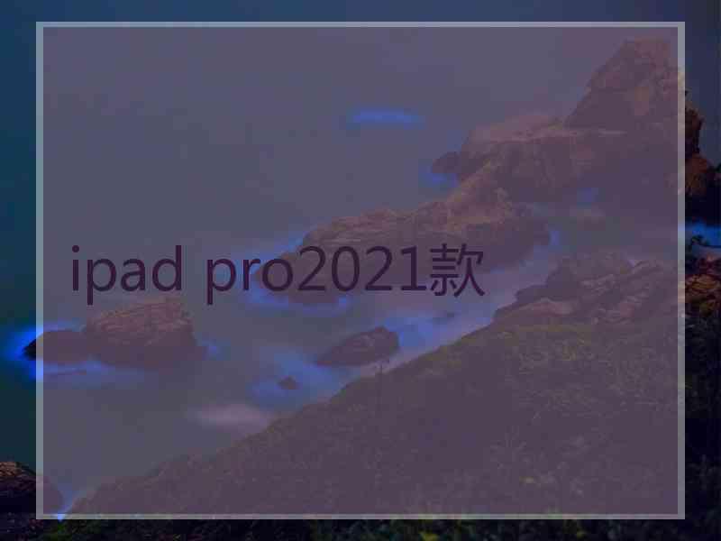 ipad pro2021款