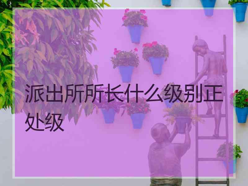 派出所所长什么级别正处级