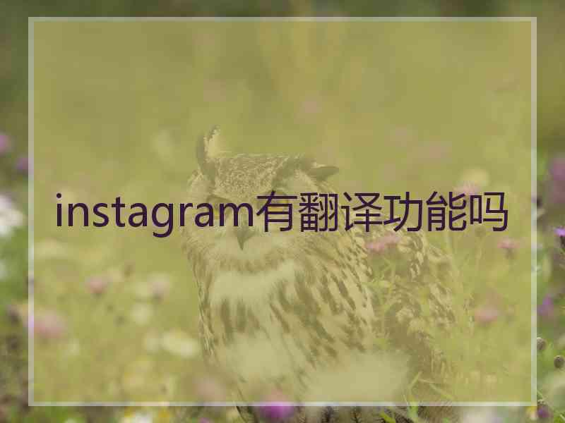 instagram有翻译功能吗