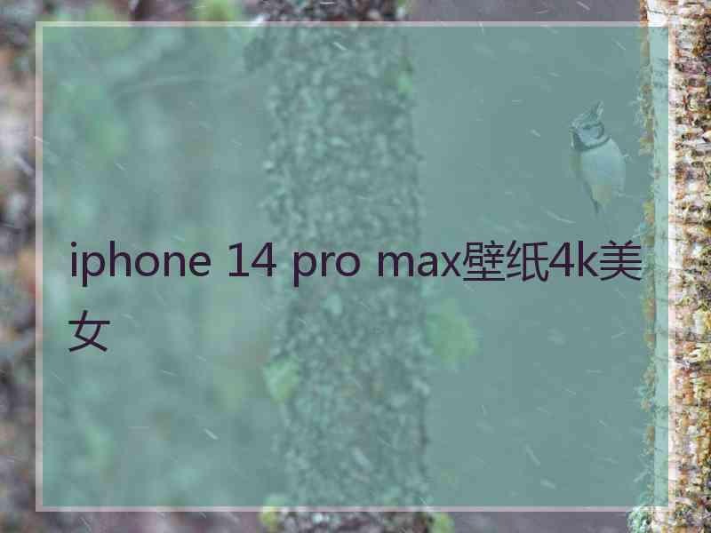 iphone 14 pro max壁纸4k美女