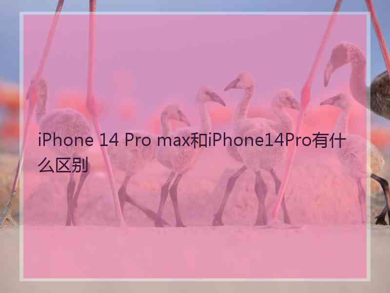 iPhone 14 Pro max和iPhone14Pro有什么区别