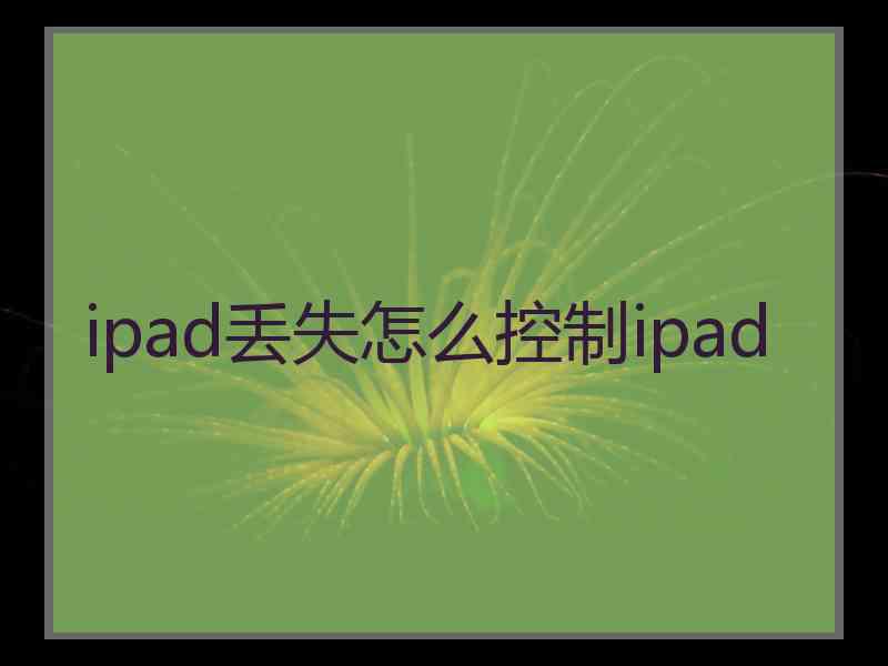 ipad丢失怎么控制ipad